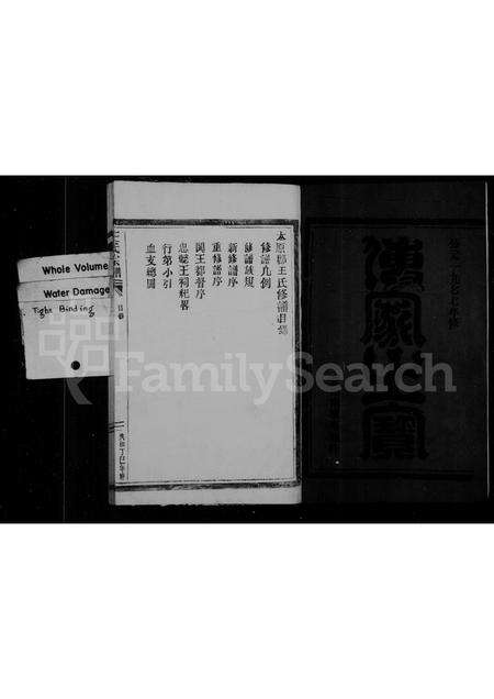 福建王氏族谱-王氏宗谱.pdf电子版预览图3