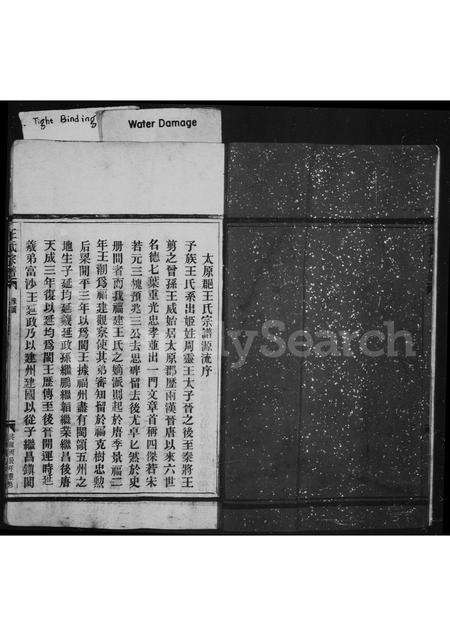 福建王氏族谱-王氏宗谱.pdf电子版预览图3