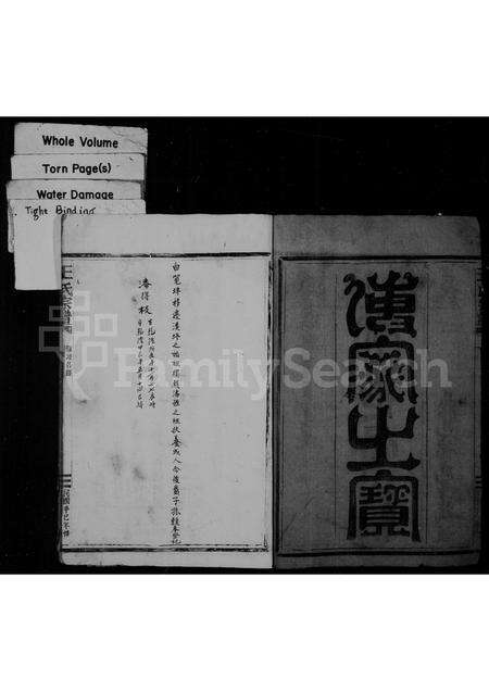 福建王氏族谱-王氏宗谱.pdf电子版预览图3