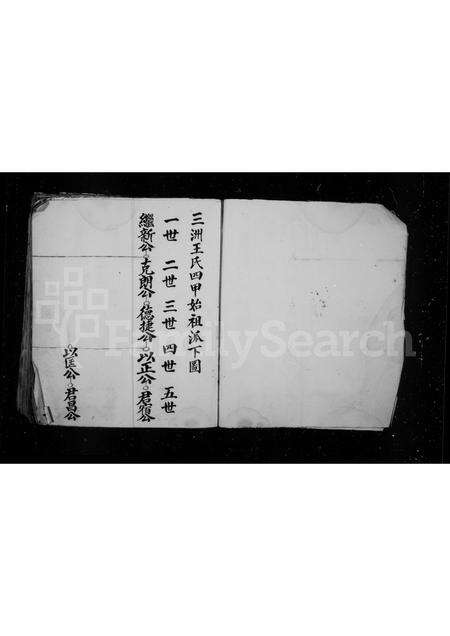 福建王氏族谱-草创三洲王氏四甲房谱.pdf电子版预览图3