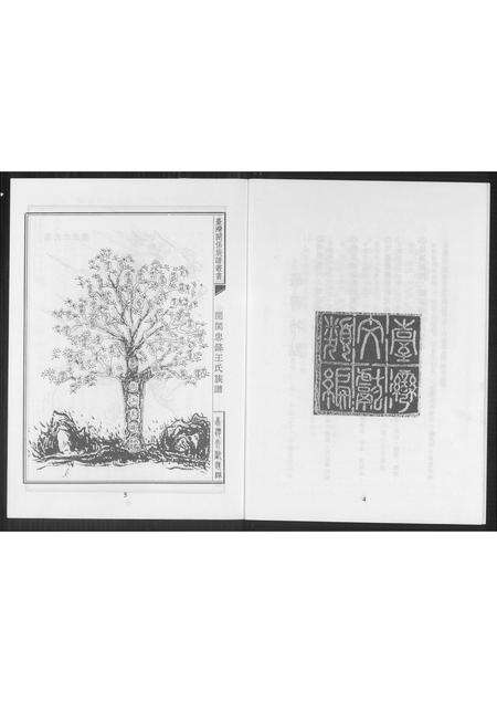 福建未知族谱-台湾关系族谱丛书.pdf电子版预览图3