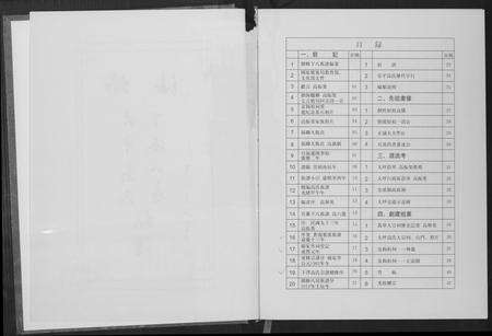 福建高氏族谱-大平高氏下派八房族谱.pdf电子版预览图3