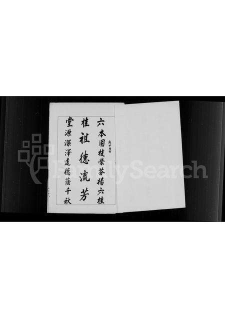 福建翁氏族谱-[翁氏]家族简谱.pdf电子版预览图3