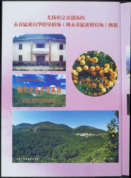 福建尤氏族谱-天下尤氏源流.pdf电子版预览图3