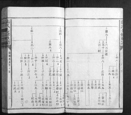 福建张氏族谱-张氏七修族谱.pdf电子版预览图3