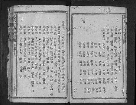 福建张氏族谱-张氏十修族谱 [不分卷].pdf电子版预览图3