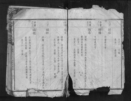 福建朱氏族谱-绥安朱氏族谱.pdf电子版预览图3