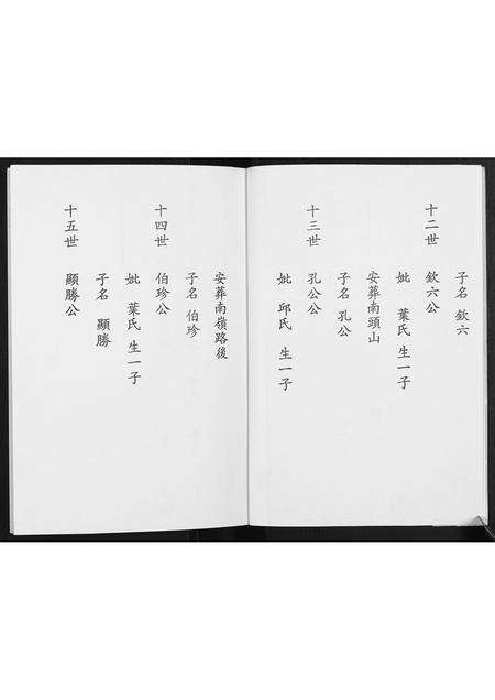 福建陈氏族谱-陈氏族谱.pdf电子版预览图3