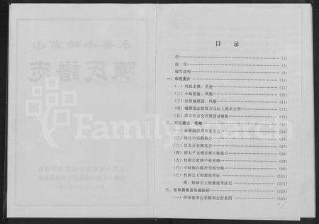 福建陈氏族谱-永春小岵南山陈氏谱志 [不分卷].pdf电子版预览图3