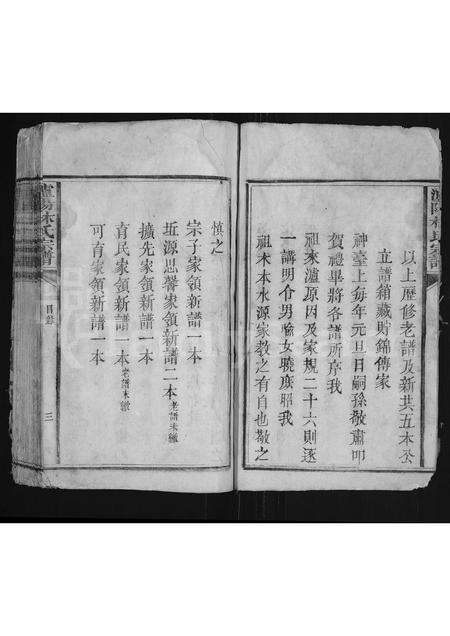 福建林氏族谱-泸阳林氏宗谱 [不分卷].pdf电子版预览图3