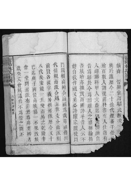 福建林氏族谱-泸阳林氏宗谱 [不分卷].pdf电子版预览图3