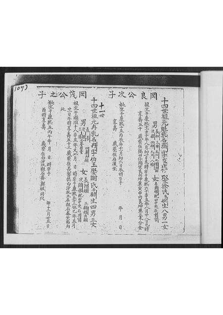 福建林氏族谱-南靖县正本复印林氏族谱 _ 顶次房弘仕公世系派 [不分卷].pdf电子版预览图3