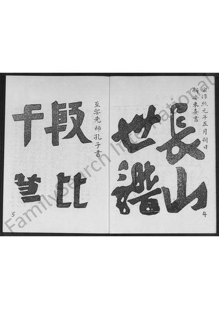 福建林氏族谱-福建省南靖县分支林氏族谱 [不分卷].pdf电子版预览图3