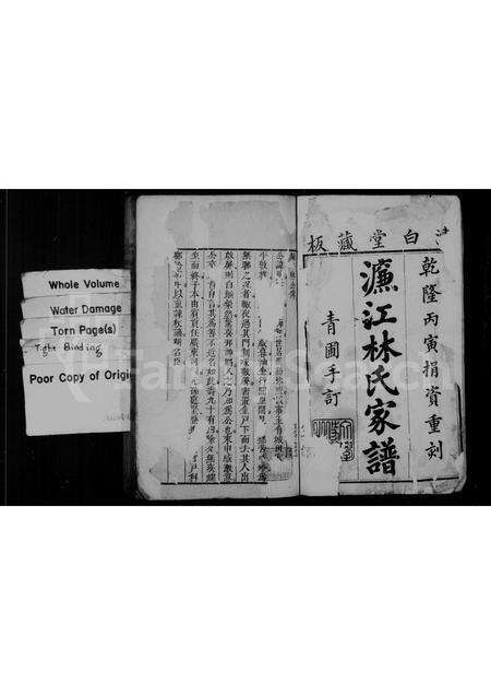 福建林氏族谱-濂江林氏家谱.pdf电子版预览图3