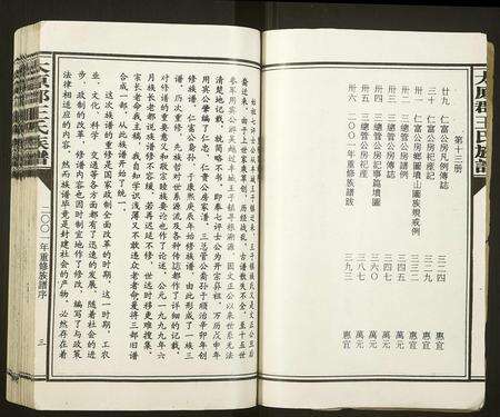 福建王氏族谱-太原郡王氏族谱[13册].pdf电子版预览图3