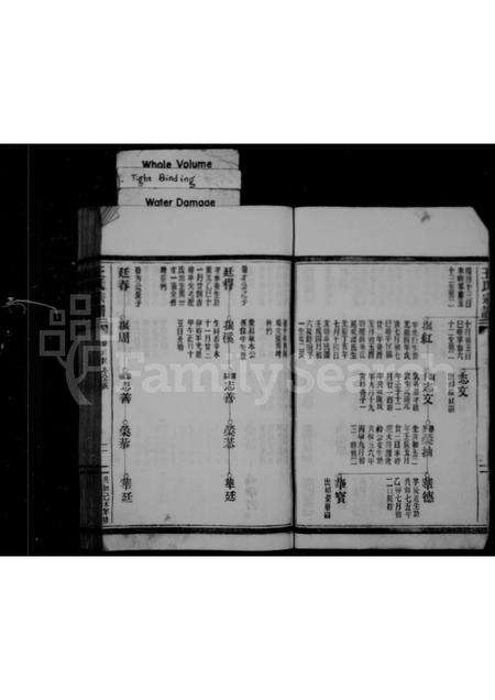 福建王氏族谱-王氏宗谱 _ 福鼎店下乡玉岐.pdf电子版预览图3