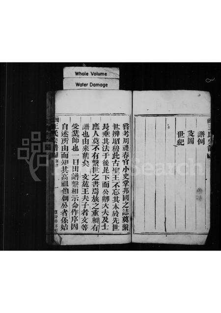 福建王氏族谱-褔鼎前岐西宅王氏族谱.pdf电子版预览图3