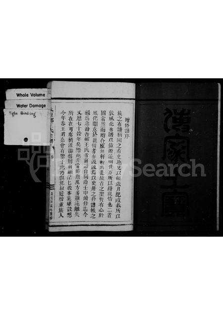 福建王氏族谱-王氏宗谱.pdf电子版预览图3