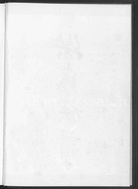 福建洪氏族谱-洪氏族谱 [不分卷].pdf电子版预览图3