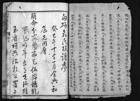 福建袁氏族谱-白砂袁氏族谱 [4卷,及卷首].pdf电子版预览图3