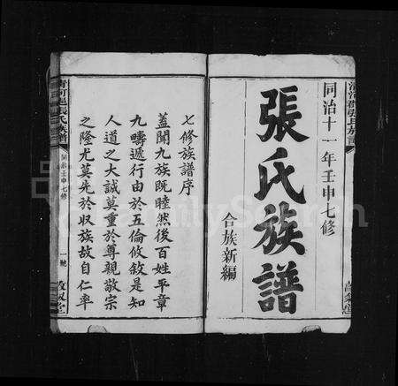 福建张氏族谱-清河张氏族谱 [卷数不明].pdf电子版预览图3