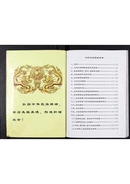 河南白氏族谱-白村白氏家谱.pdf电子版预览图3