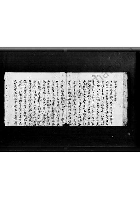 广东蔡氏族谱-岭南蔡氏族谱.pdf电子版预览图3