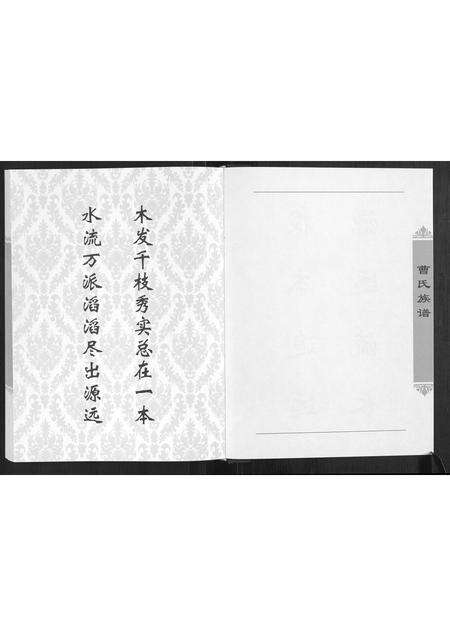 河南曹氏族谱-曹氏族谱.pdf电子版预览图3