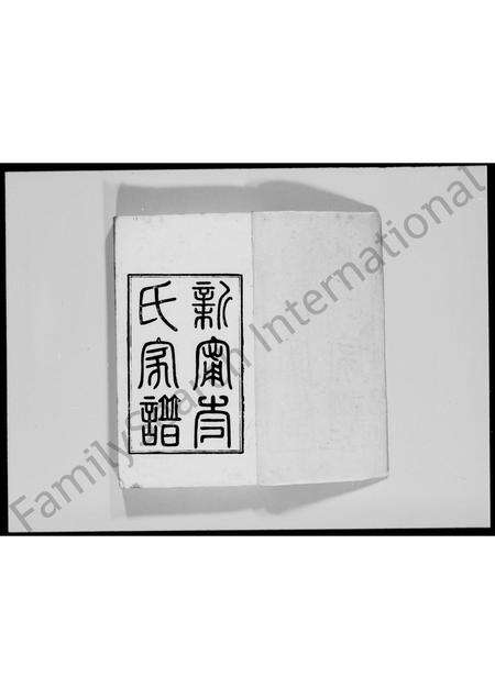 广东岑氏族谱-新宁岑氏家谱 [2卷].pdf电子版预览图3