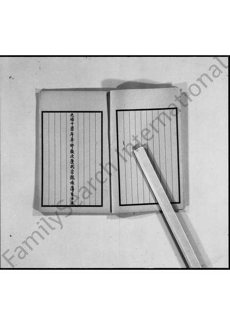 广东曾氏族谱-新界曾氏族谱.pdf电子版预览图3