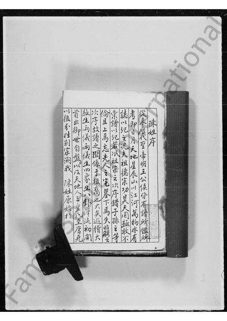 广东陈氏族谱-青衣洲陈氏族谱.pdf电子版预览图3