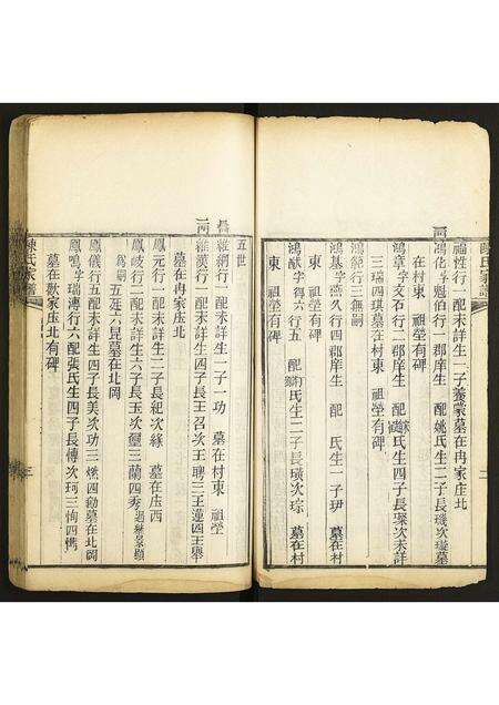 河南陈氏族谱-陈氏家谱.pdf电子版预览图3