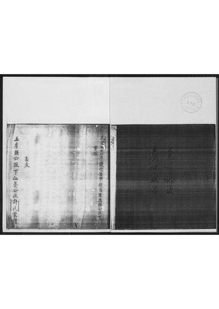 福建许氏族谱-[许氏]新里五房强公派下仙养公家谱.pdf电子版预览图3