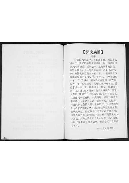 河南郭氏族谱-郭氏族谱[不分卷].pdf电子版预览图3