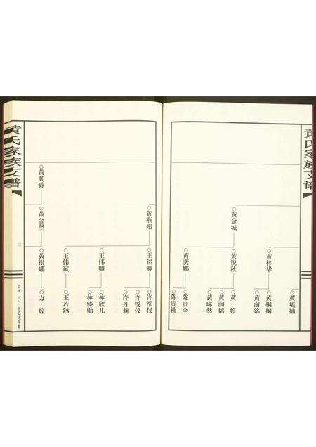 广东黄氏族谱-黄氏家谱支谱.pdf电子版预览图3