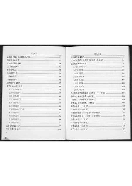 广东骆氏族谱-骆氏族谱[不分卷].pdf电子版预览图3