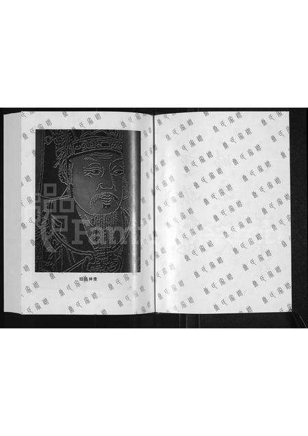 河南康氏族谱-康氏家谱.pdf电子版预览图3