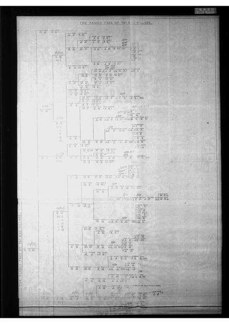 广东李氏族谱-大滘村李茂桂家族谱.pdf电子版预览图3