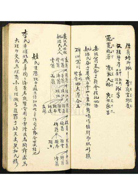 广东李氏族谱-[李氏]小族谱.pdf电子版预览图3