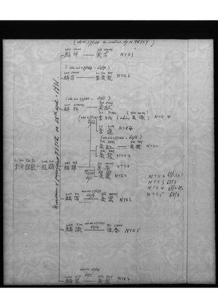 广东李氏族谱-泥塘角村李开魁祖家族谱.pdf电子版预览图3