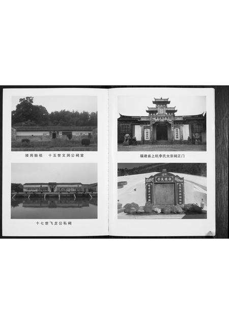 广东李氏族谱-矮岗李氏族谱.pdf电子版预览图3