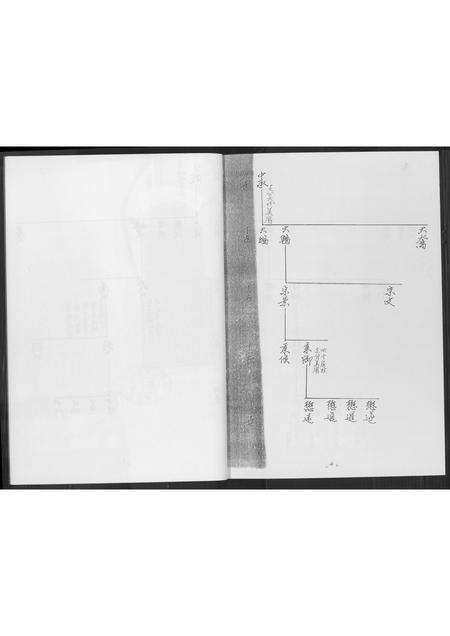 福建黄氏族谱-同安房金柄纶公派下支分文斗安聚公(字驰复)分布支图简录.pdf电子版预览图3