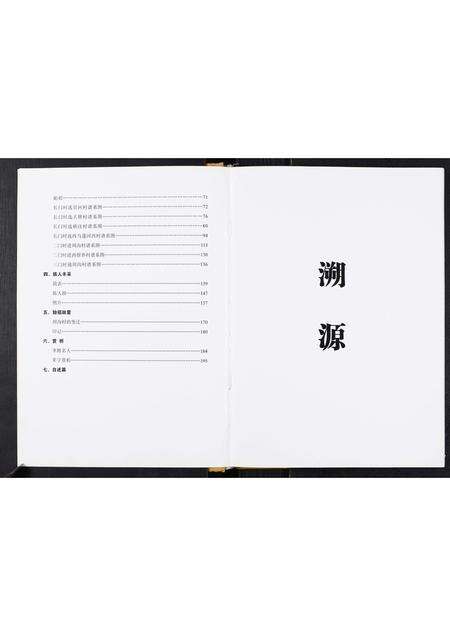 河南李氏族谱-周沟李氏家谱.pdf电子版预览图3