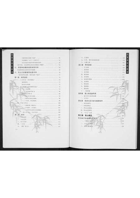 河南李氏族谱-月亮湾李氏家谱.pdf电子版预览图3