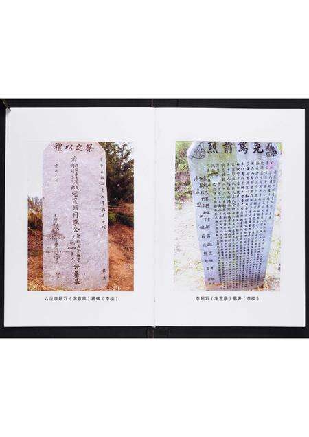 河南李氏族谱-李氏家谱[不分卷].pdf电子版预览图3