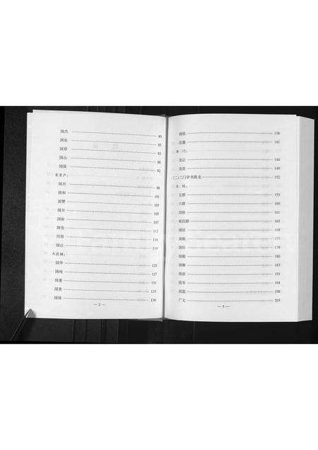 河南李氏族谱-坡东李李氏家谱 [不分卷].pdf电子版预览图3