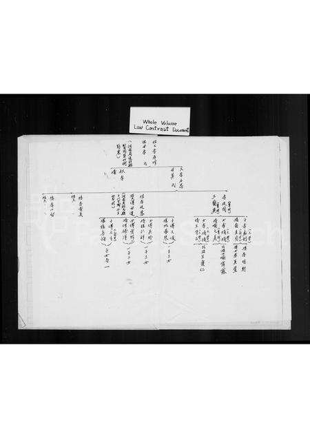 河南李氏族谱-[李氏世系图].pdf电子版预览图3