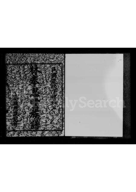 广东林氏族谱-林奉思堂族谱.pdf电子版预览图3