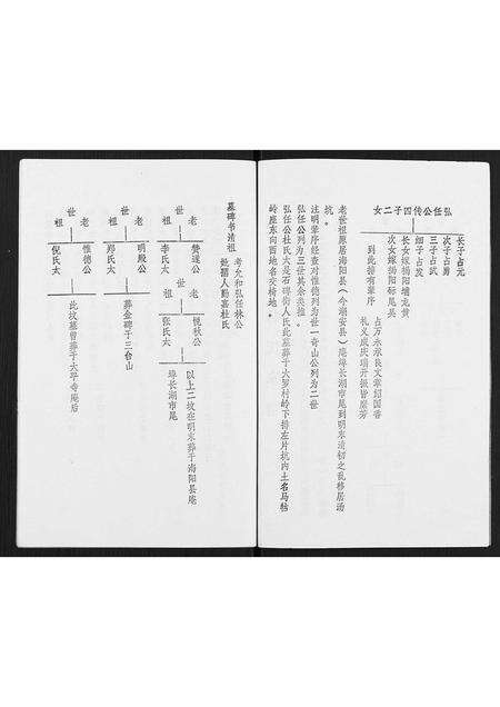 广东林氏族谱-林氏元丰家谱.pdf电子版预览图3