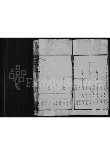 广东林氏族谱-书楼林氏世系.pdf电子版预览图3